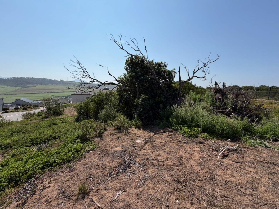 0 Bedroom Property for Sale in Reebok Western Cape